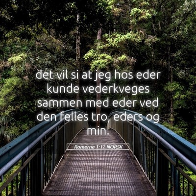 Picture 05 - Romerne 1:12 NORSK - det vil si at jeg hos eder kunde vederkveges - Bible Verse Picture
