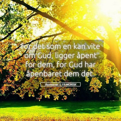 Picture 05 - Romerne 1:19 NORSK - for det som en kan vite om Gud, ligger åpent for - Bible Verse Picture