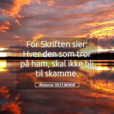 Picture 05 - Romerne 10:11 NORSK - For Skriften sier: Hver den som tror på ham, - Bible Verse Picture