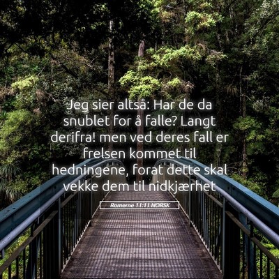 Picture 05 - Romerne 11:11 NORSK - Jeg sier altså: Har de da snublet for å falle? - Bible Verse Picture