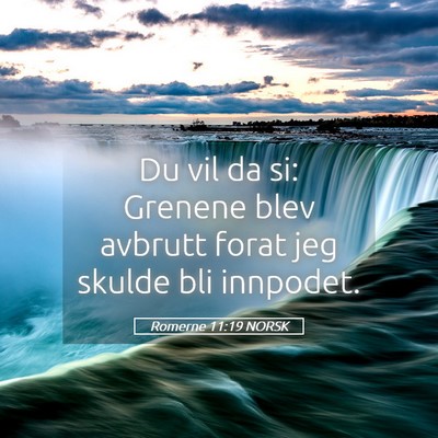 Picture 05 - Romerne 11:19 NORSK - Du vil da si: Grenene blev avbrutt forat jeg - Bible Verse Picture