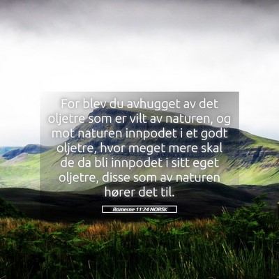 Picture 05 - Romerne 11:24 NORSK - For blev du avhugget av det oljetre som er vilt - Bible Verse Picture