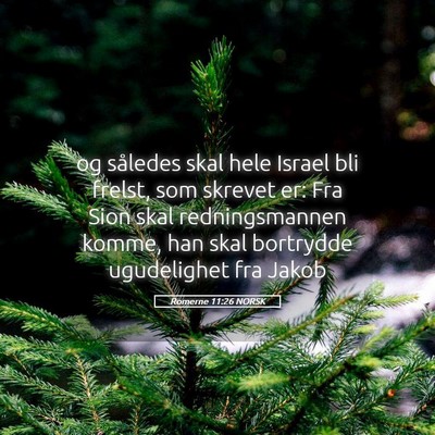 Picture 05 - Romerne 11:26 NORSK - og således skal hele Israel bli frelst, som - Bible Verse Picture