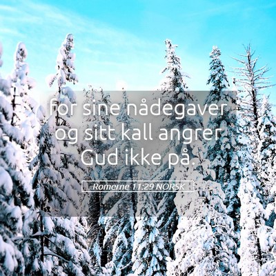 Picture 05 - Romerne 11:29 NORSK - for sine nådegaver og sitt kall angrer Gud ikke - Bible Verse Picture
