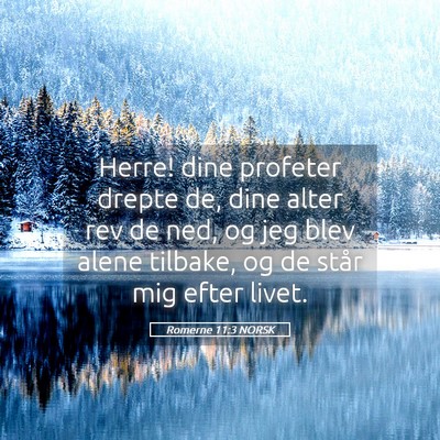 Picture 05 - Romerne 11:3 NORSK - Herre! dine profeter drepte de, dine alter rev de - Bible Verse Picture