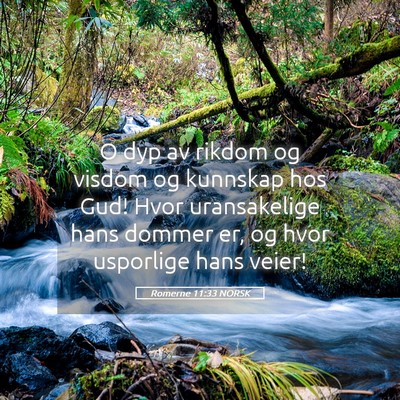 Picture 05 - Romerne 11:33 NORSK - O dyp av rikdom og visdom og kunnskap hos Gud! - Bible Verse Picture