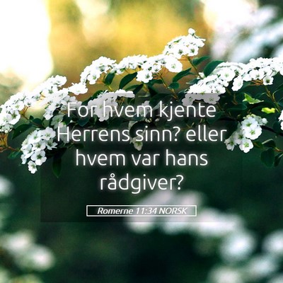 Picture 05 - Romerne 11:34 NORSK - For hvem kjente Herrens sinn? eller hvem var hans - Bible Verse Picture
