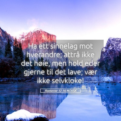 Picture 05 - Romerne 12:16 NORSK - Ha ett sinnelag mot hverandre; attrå ikke det - Bible Verse Picture