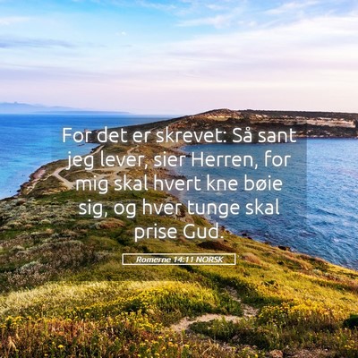 Picture 05 - Romerne 14:11 NORSK - For det er skrevet: Så sant jeg lever, sier - Bible Verse Picture