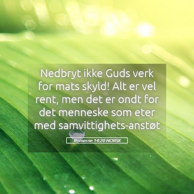 Picture 05 - Romerne 14:20 NORSK - Nedbryt ikke Guds verk for mats skyld! Alt er vel - Bible Verse Picture