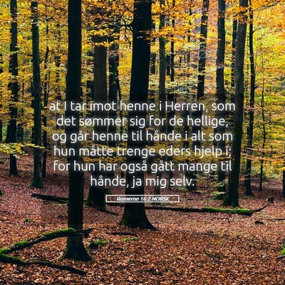 Picture 05 - Romerne 16:2 NORSK - at I tar imot henne i Herren, som det sømmer sig - Bible Verse Picture