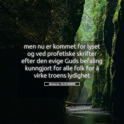 Picture 05 - Romerne 16:26 NORSK - men nu er kommet for lyset og ved profetiske - Bible Verse Picture