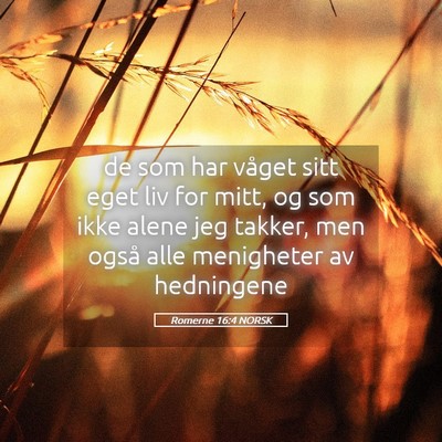 Picture 05 - Romerne 16:4 NORSK - de som har våget sitt eget liv for mitt, og som - Bible Verse Picture