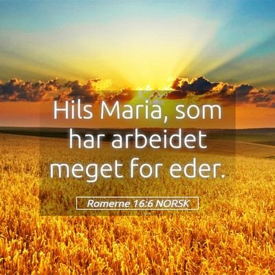 Picture 05 - Romerne 16:6 NORSK - Hils Maria, som har arbeidet meget for - Bible Verse Picture