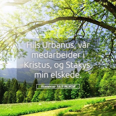 Picture 05 - Romerne 16:9 NORSK - Hils Urbanus, vår medarbeider i Kristus, og - Bible Verse Picture