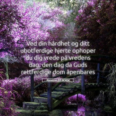Picture 05 - Romerne 2:5 NORSK - Ved din hårdhet og ditt ubotferdige hjerte - Bible Verse Picture
