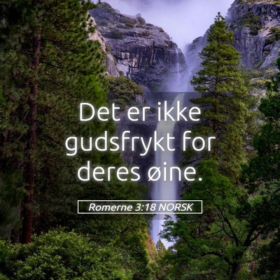 Picture 05 - Romerne 3:18 NORSK - Det er ikke gudsfrykt for deres - Bible Verse Picture