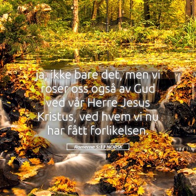 Picture 05 - Romerne 5:11 NORSK - ja, ikke bare det, men vi roser oss også av Gud - Bible Verse Picture