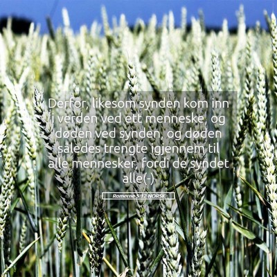 Picture 05 - Romerne 5:12 NORSK - Derfor, likesom synden kom inn i verden ved ett - Bible Verse Picture
