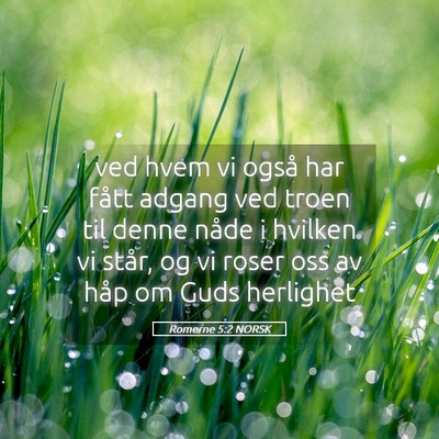 Picture 05 - Romerne 5:2 NORSK - ved hvem vi også har fått adgang ved troen til - Bible Verse Picture