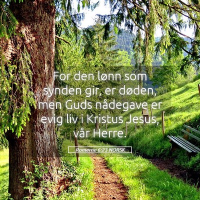 Picture 05 - Romerne 6:23 NORSK - For den lønn som synden gir, er døden, men Guds - Bible Verse Picture