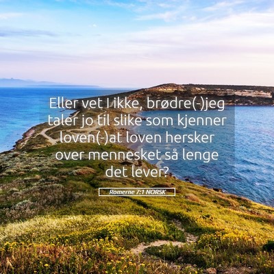Picture 05 - Romerne 7:1 NORSK - Eller vet I ikke, brødre(-)jeg taler jo til - Bible Verse Picture
