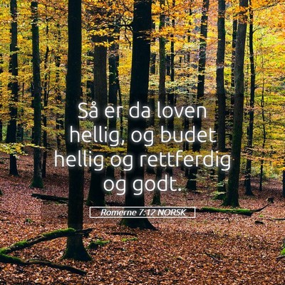 Picture 05 - Romerne 7:12 NORSK - Så er da loven hellig, og budet hellig og - Bible Verse Picture