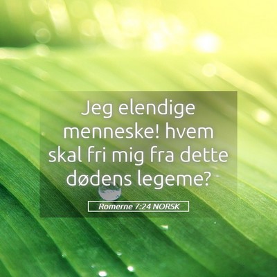 Picture 05 - Romerne 7:24 NORSK - Jeg elendige menneske! hvem skal fri mig fra - Bible Verse Picture