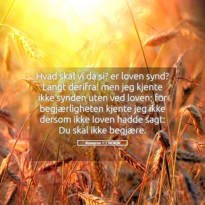 Picture 05 - Romerne 7:7 NORSK - Hvad skal vi da si? er loven synd? Langt derifra! - Bible Verse Picture