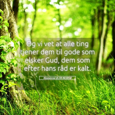Picture 05 - Romerne 8:28 NORSK - Og vi vet at alle ting tjener dem til gode som - Bible Verse Picture