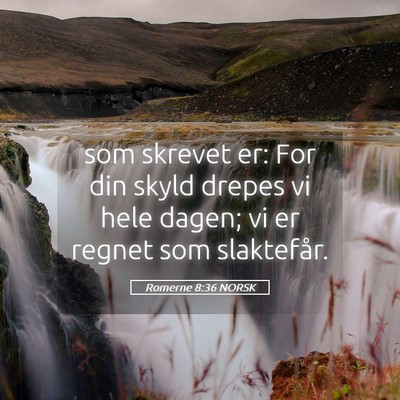 Picture 05 - Romerne 8:36 NORSK - som skrevet er: For din skyld drepes vi hele - Bible Verse Picture