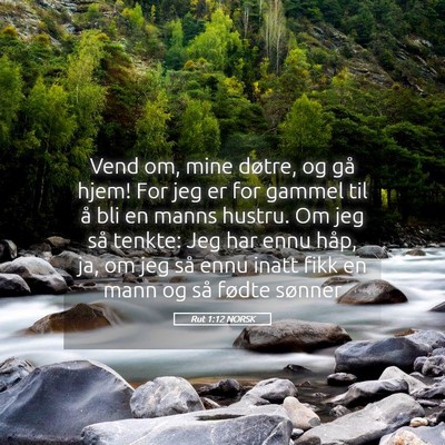 Picture 05 - Rut 1:12 NORSK - Vend om, mine døtre, og gå hjem! For jeg er for - Bible Verse Picture