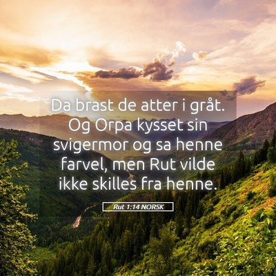 Picture 05 - Rut 1:14 NORSK - Da brast de atter i gråt. Og Orpa kysset sin - Bible Verse Picture
