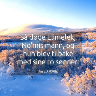 Picture 05 - Rut 1:3 NORSK - Så døde Elimelek, No'mis mann, og hun blev - Bible Verse Picture