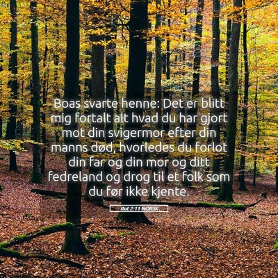 Picture 05 - Rut 2:11 NORSK - Boas svarte henne: Det er blitt mig fortalt alt - Bible Verse Picture