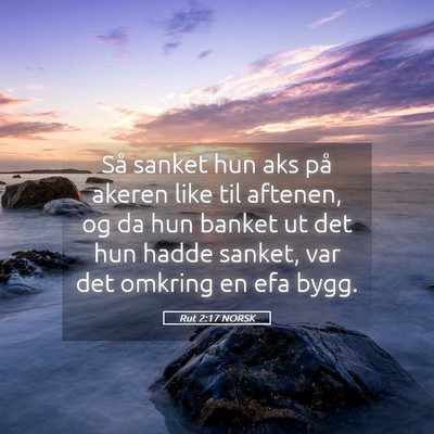 Picture 05 - Rut 2:17 NORSK - Så sanket hun aks på akeren like til aftenen, - Bible Verse Picture