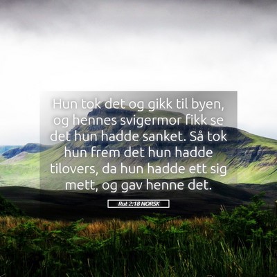 Picture 05 - Rut 2:18 NORSK - Hun tok det og gikk til byen, og hennes svigermor - Bible Verse Picture