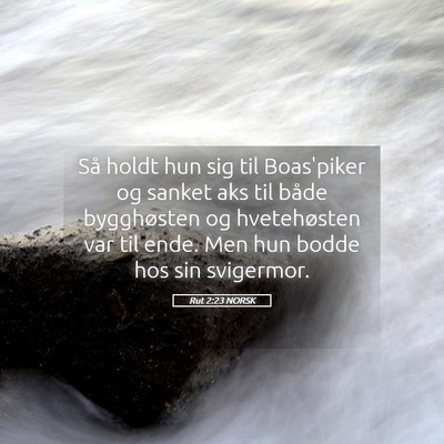 Picture 05 - Rut 2:23 NORSK - Så holdt hun sig til Boas'piker og sanket aks - Bible Verse Picture