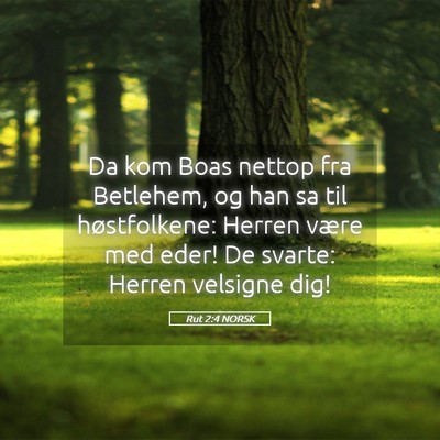 Picture 05 - Rut 2:4 NORSK - Da kom Boas nettop fra Betlehem, og han sa til - Bible Verse Picture