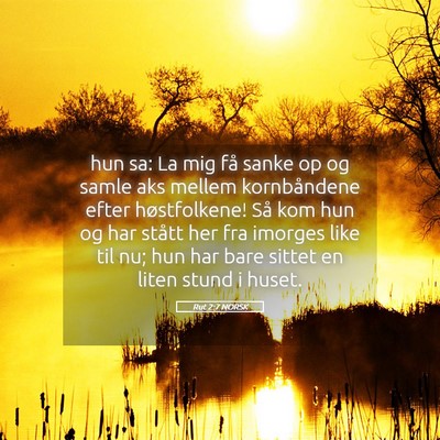 Picture 05 - Rut 2:7 NORSK - hun sa: La mig få sanke op og samle aks mellem - Bible Verse Picture