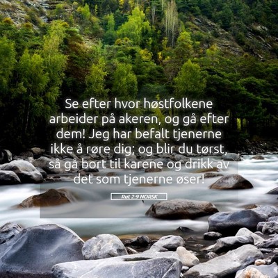 Picture 05 - Rut 2:9 NORSK - Se efter hvor høstfolkene arbeider på akeren, - Bible Verse Picture