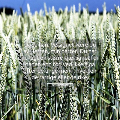 Picture 05 - Rut 3:10 NORSK - Da sa han: Velsignet være du av Herren, min - Bible Verse Picture