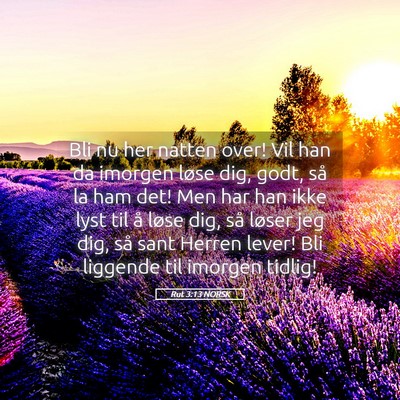 Picture 05 - Rut 3:13 NORSK - Bli nu her natten over! Vil han da imorgen løse - Bible Verse Picture