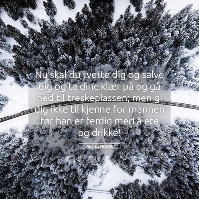 Picture 05 - Rut 3:3 NORSK - Nu skal du tvette dig og salve dig og ta dine - Bible Verse Picture