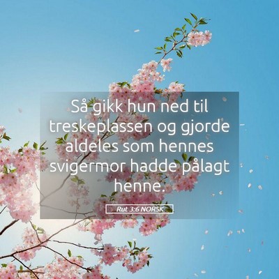 Picture 05 - Rut 3:6 NORSK - Så gikk hun ned til treskeplassen og gjorde - Bible Verse Picture