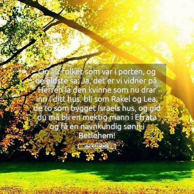 Picture 05 - Rut 4:11 NORSK - Og alt folket som var i porten, og de eldste sa: - Bible Verse Picture