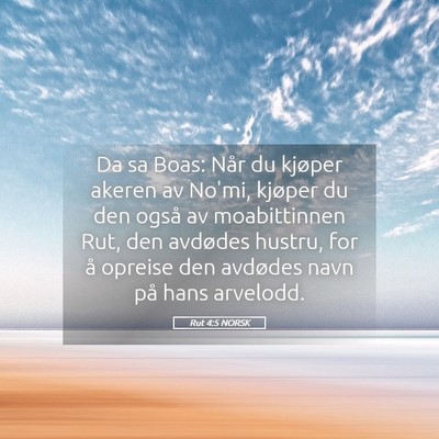 Picture 05 - Rut 4:5 NORSK - Da sa Boas: Når du kjøper akeren av No'mi, - Bible Verse Picture