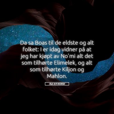 Picture 05 - Rut 4:9 NORSK - Da sa Boas til de eldste og alt folket: I er idag - Bible Verse Picture