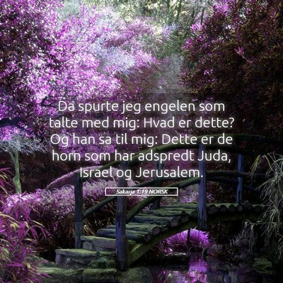 Picture 05 - Sakarja 1:19 NORSK - Da spurte jeg engelen som talte med mig: Hvad er - Bible Verse Picture