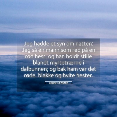 Picture 05 - Sakarja 1:8 NORSK - Jeg hadde et syn om natten: Jeg så en mann som - Bible Verse Picture